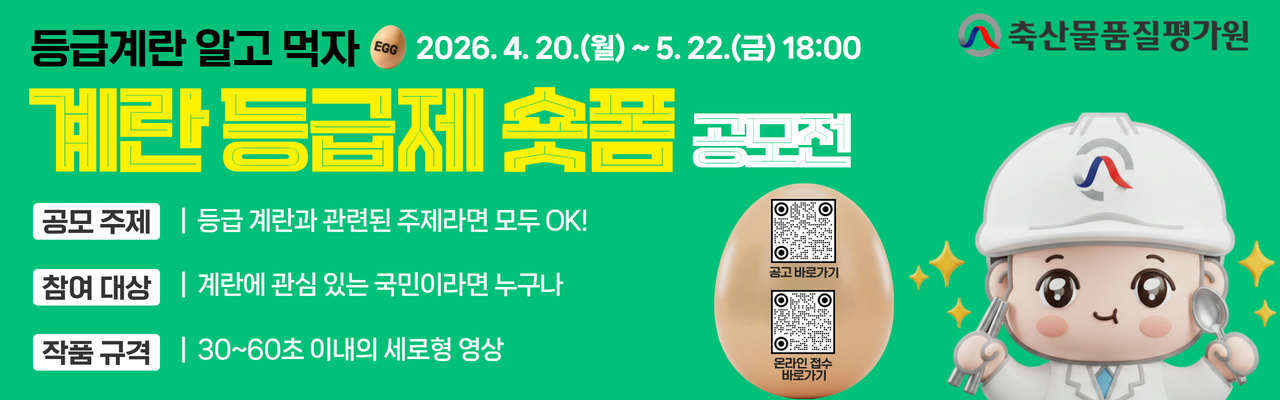 계란 등급제 숏폼 공모전